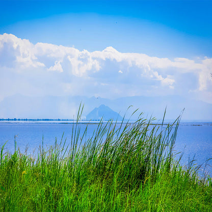 Malawi