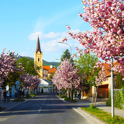 Slovakia