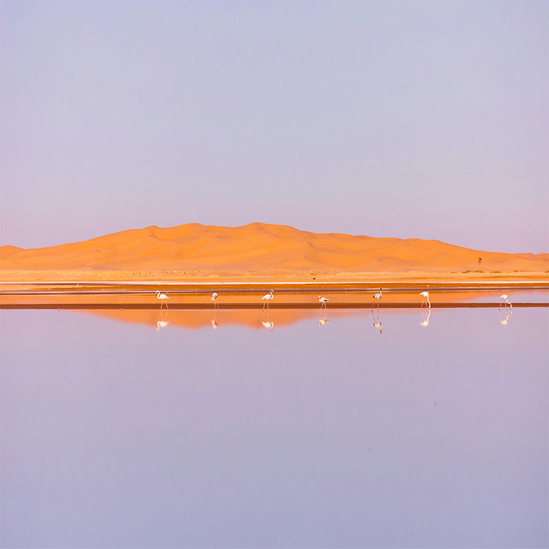 Algeria