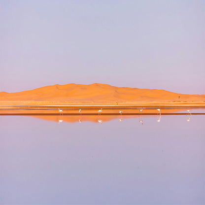 Algeria