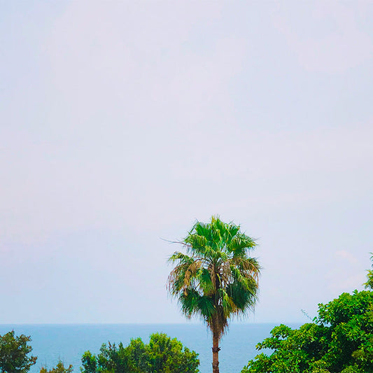 Democratic Republic of Congo